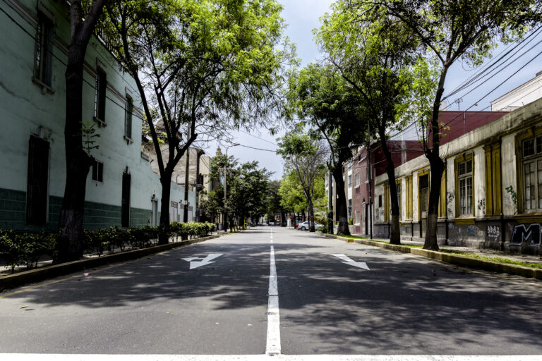 suburban-road-sunny-day